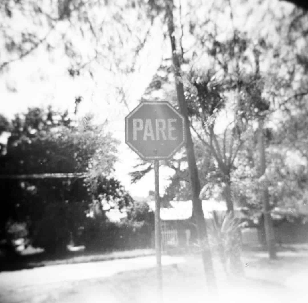 A stop sign on street next to a tree
