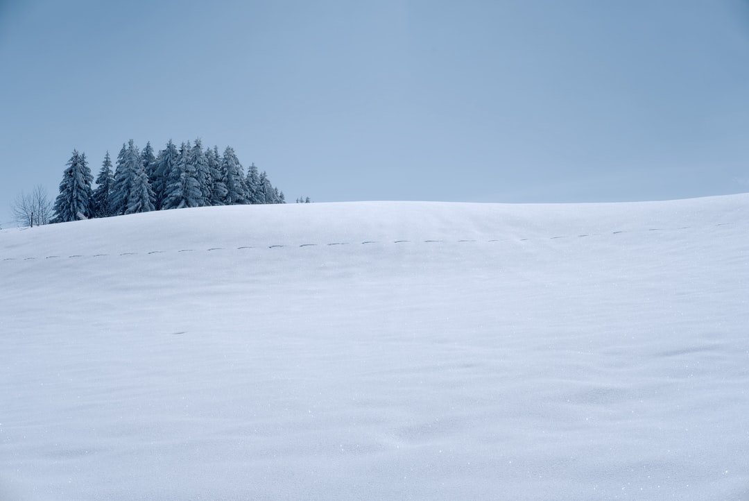 A snow covered slope