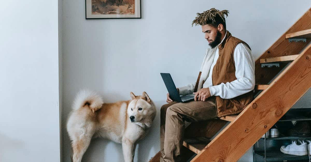 A person sitting on a bench looking at a dog