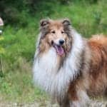 hidden security cameras