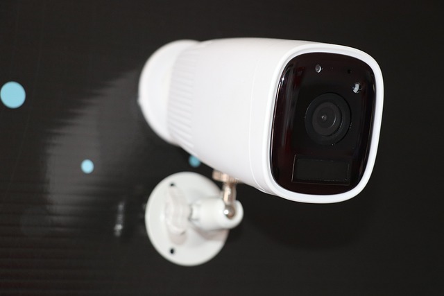 best wired security cameras