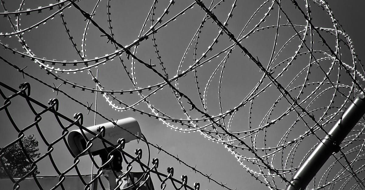 A bird sitting on a wire fence